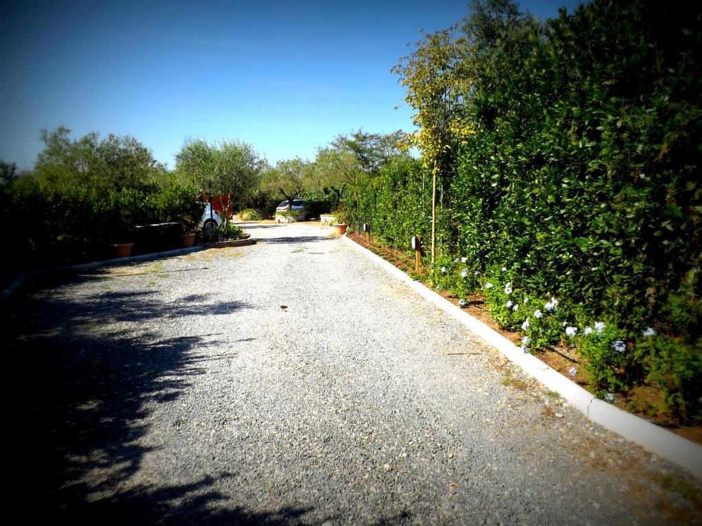 Country Apartments Castel di Decima Exterior foto